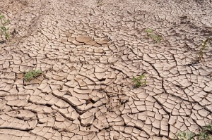 How Did Israel Manage to Defy the Drought?