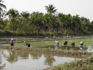 Thailand's Farmers Fight over Water