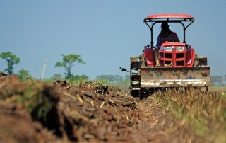 Free State Farmers Cry and Dance with Joy at Long-Awaited Rains