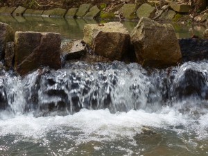 Just How Good is Purified Water?