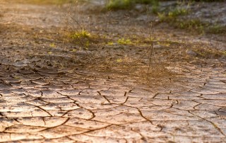 Your own Personal Drought Management System